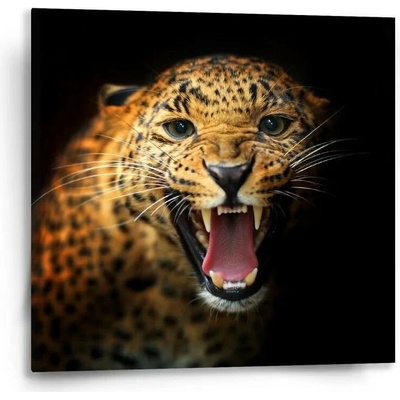 Sablio Obraz Gepard 2 - 50x50 cm