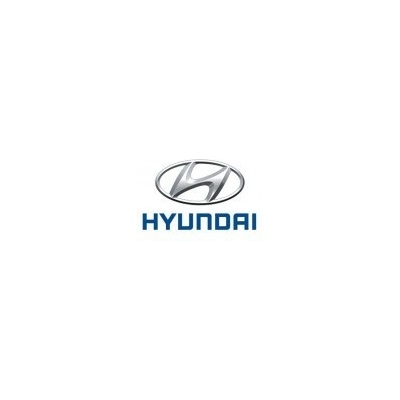 Hyundai perleťová farba lakovateľná 1000 ml, riedenie 1:1