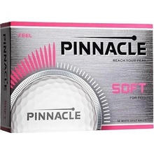 Pinnacle Soft