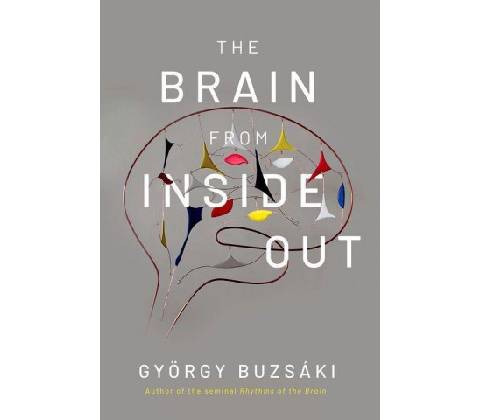 Brain from Inside Out