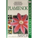 Plamienok