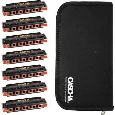 Cascha HH 2224 Professional Blues Set C-D-E-F-G-A-Bb Диатонична устна хармоника (HH2224)