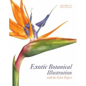 Exotic Botanical Illustration | Meriel Thurstan (2012)