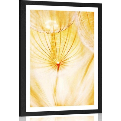 Plakát s paspartou pampeliška ve žlutém provedení - 30x45 silver