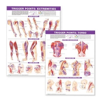 Trigger Point Chart Set: Torso & Extremities Paper