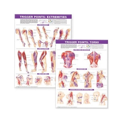 Trigger Point Chart Set: Torso & Extremities Paper