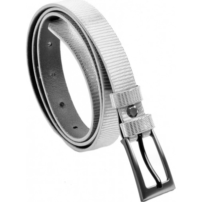 Penny Belts Stříbrný pásek na šaty 183-606