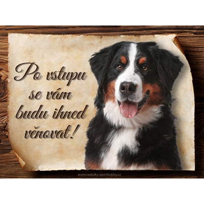 Sport hobby Cedulka Bernský salašnický pes II Po vstupu ... CP1564 20 x 15 cm
