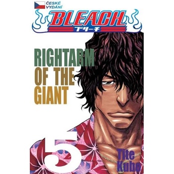 Bleach 5