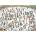 Jumbo - Puzzle Jan Van Haasteren: Riding The Skate Bowl - 1 000 piese