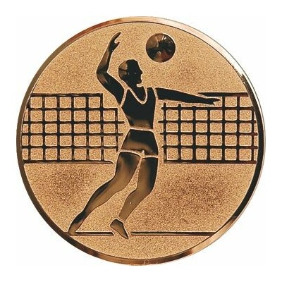 D1-A6/B Emblém pr.25mm volejbal bronz