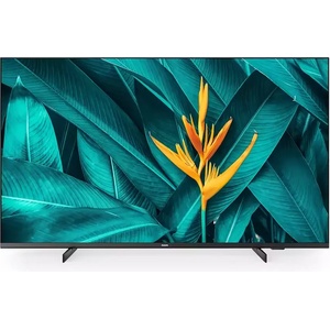 Philips 55HFL5214U/12