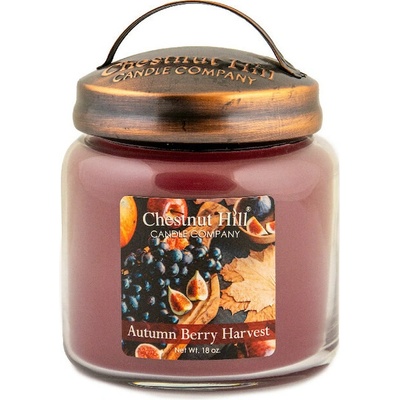 Ego dekor AUTUMN BERRY HARVEST 510 g