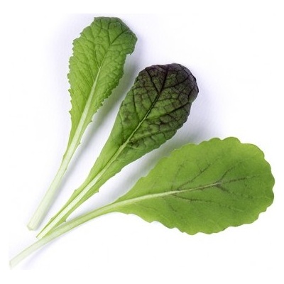 Veritable Вложка за семена Lingot листни зеленчуци горчица Червен гигант (lingot-musztardowiec-red)