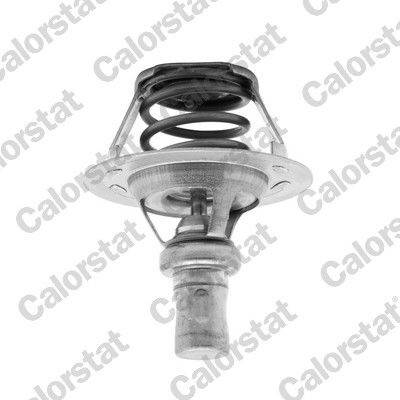 Termostat, chladivo CALORSTAT by Vernet TH5284.91J (TH528491J)