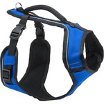 PetSafe Нашийник за куче EasySport „S, синьо