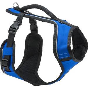 PetSafe Нашийник за куче EasySport „S, синьо