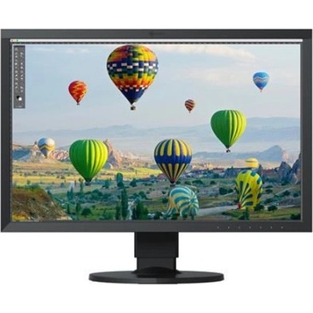 Eizo CS2400S