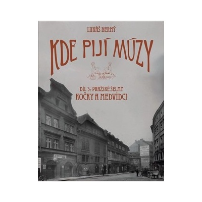 Kde pijí múzy 3 - Berný Lukáš