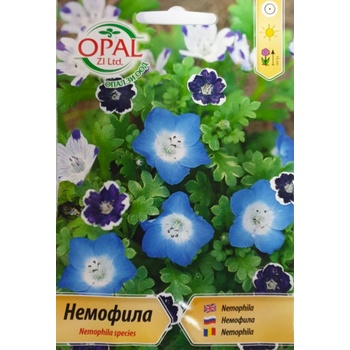 Opal Zi Немофила Микс Nemophila species