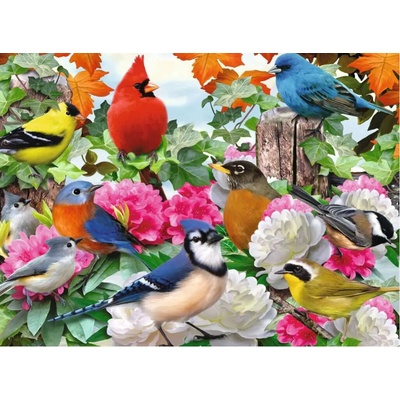 Ravensburger Garden Birds 500 dielov