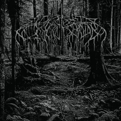 Wolves In The Throne Room - 2005 Demo / Black Ice / Vinyl LP