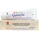 DXN Ganozhi zubní pasta 150 g