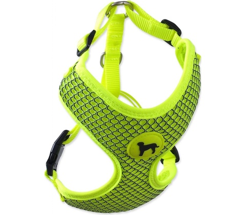 ACTIVE DOG postroj Mellow
