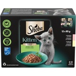 Sheba Kitten Консервации смесен избор в сос 12 x 85 г
