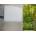 Nedes LF7025