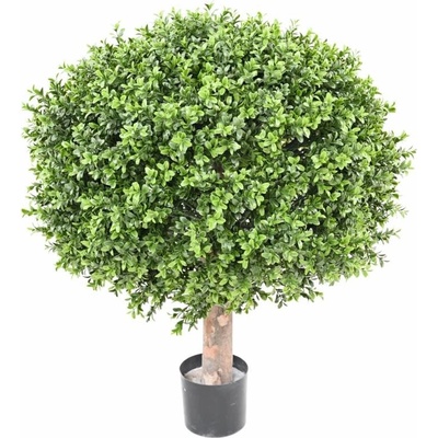 BUXUS KOULE REGULAR NEW UV, 77cm