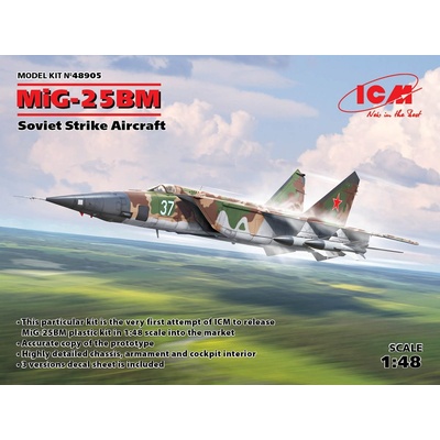 ICM MiG-25 BM 1:48