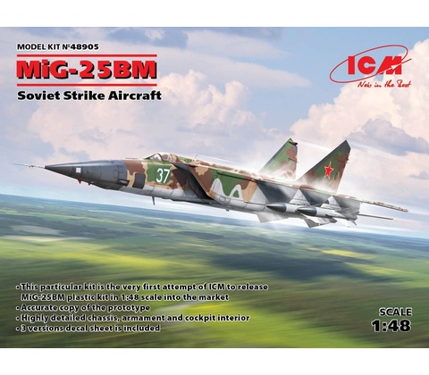 ICM MiG-25 BM 1:48