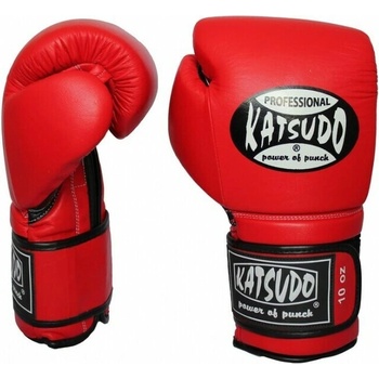 Katsudo Profesional