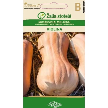 Image 1 of Seklos Тиква Мускатна Виолина Violina