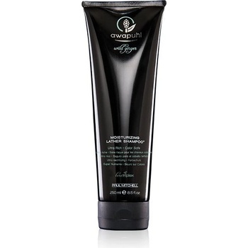 Paul Mitchell Awapuhi Wild Ginger Repair Šampón pre regeneráciu 250 ml