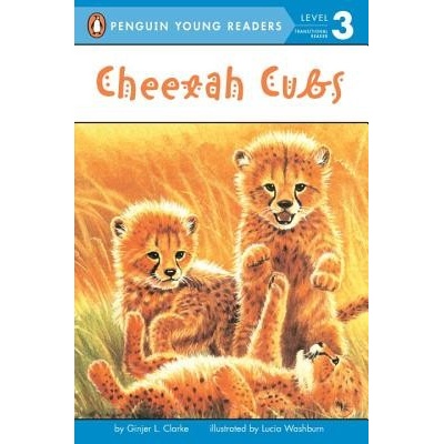 Cheetah Cubs Clarke Ginjer L.Paperback