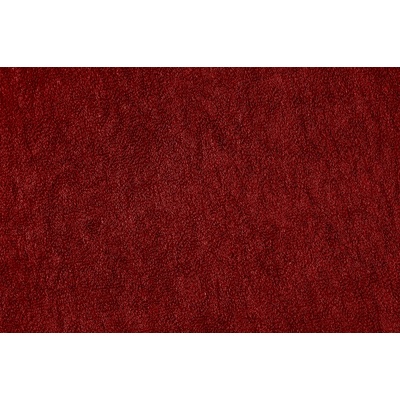 Aaryans froté prostěradlo vínové 90x200