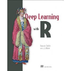 Deep Learning with R | Francois Chollet (ISBN: 9781617295546)