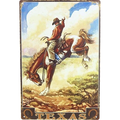 Retro plechová cedula TEXAS 20x30