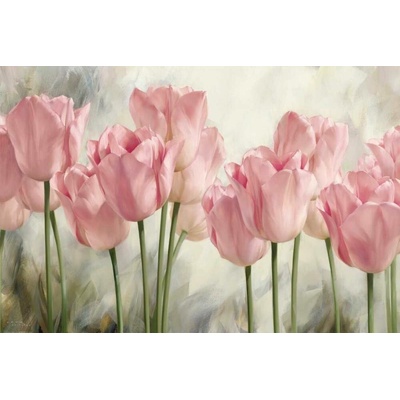 Růžové tulipány 2 obraz na desce 1 deska 90x60