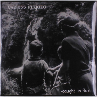 Caught in Flux Eyeless in Gaza Vinyl