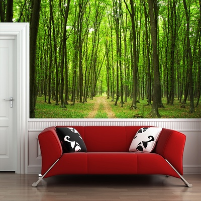 Tapeta SABLIO Cesta v lese, rozměry 208x125 cm