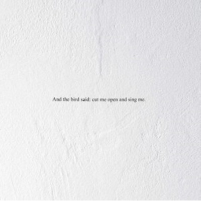 And the Bird Said: Cut Me Open and Sing Me - Prairie CD