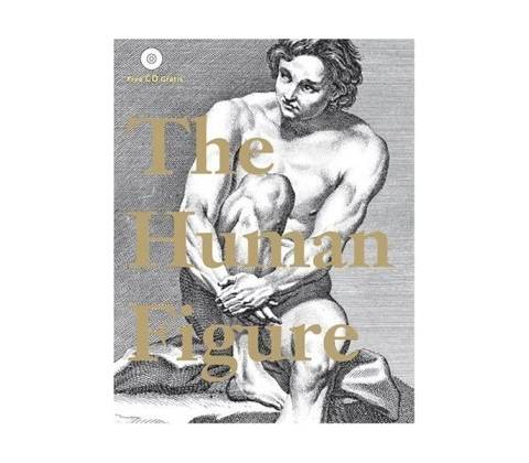 Human Figure