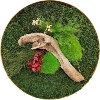 Machový obraz Jungle Kruh 50cm