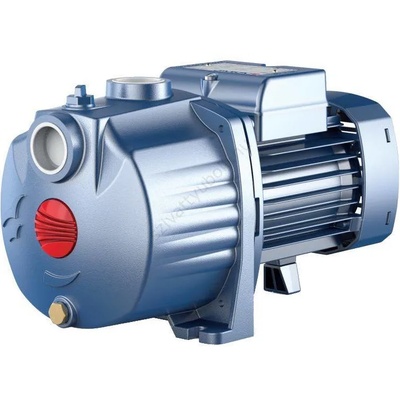 Pedrollo 4CPm 100 (43CPN286A1)