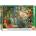 EUROGRAPHICS - Puzzle Tropical Paradise - 500 piese