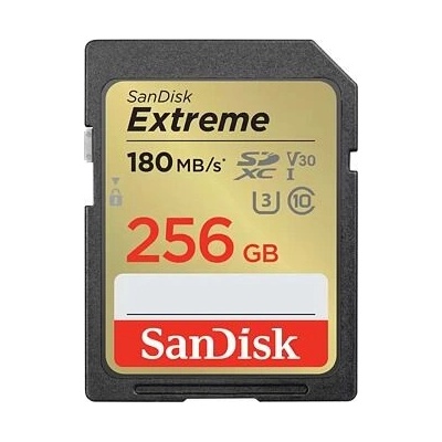 SanDisk Class 10 SDXC 256GB SDSDXVV-256G-GNCIN