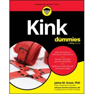Kink for Dummies (ISBN: 9781394353248)